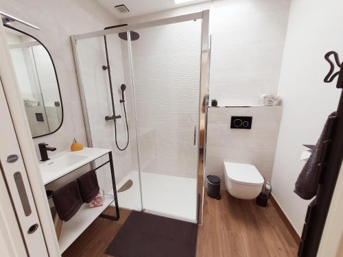 une salle de bain avec une douche, des toilettes et un lavabo dans l'établissement Maison Holen, à Plougonvelin