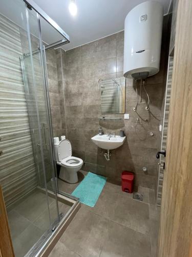 a bathroom with a shower and a toilet and a sink at Entire 1-bedroom apartment with free parking in Podgorica