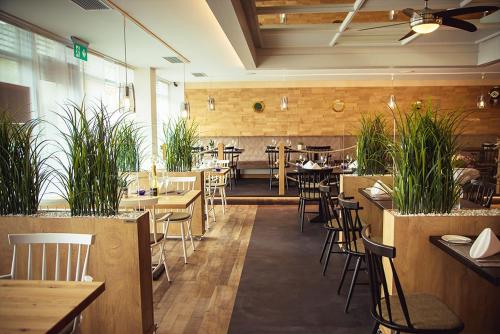 a restaurant with tables and chairs and plants at Hotel Buntrock in Holzminden
