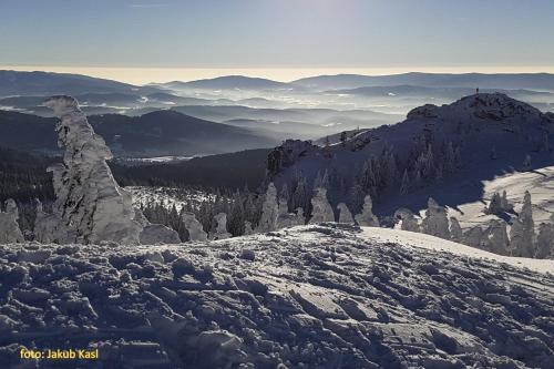 a view of a snow covered mountain with trees at Pension Aspen in Železná Ruda