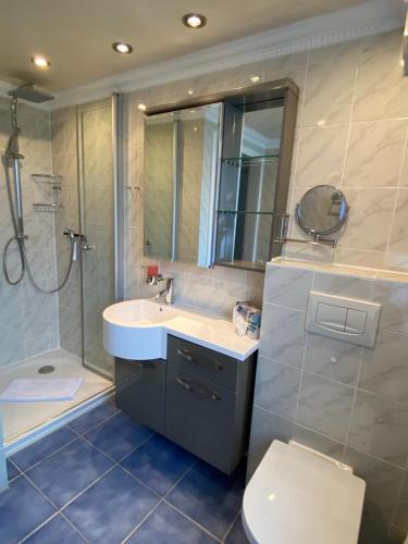 a bathroom with a sink and a toilet and a shower at Macke`s Ferienwohnungen in Hahnenklee-Bockswiese