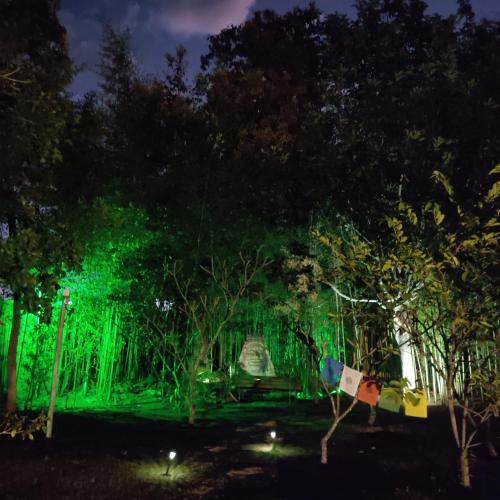 a park with green lights in the trees at night at Pousada Alfa e Ômega in Alto Paraíso de Goiás