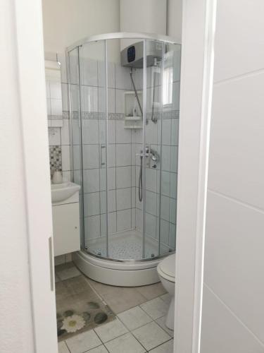 a bathroom with a shower and a toilet at B&B Sveti Petar in Sveti Petar