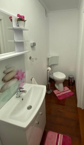 a bathroom with a white sink and a toilet at Casa Kelemen Irén in Rimetea