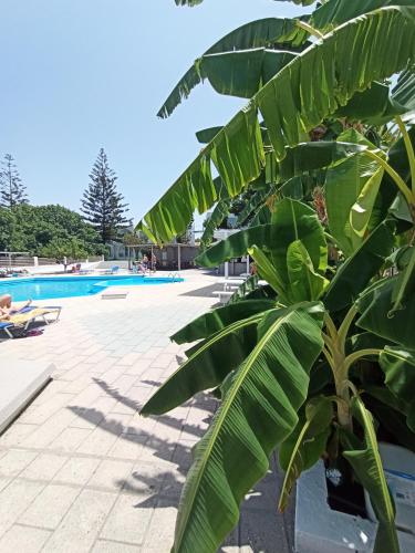 Bazén v ubytování Summer Dream nebo v jeho okolí