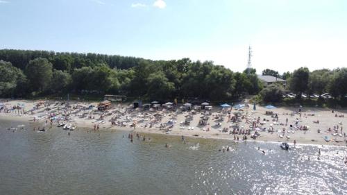 a group of people on a beach in the water at Albatros in Călăraşi