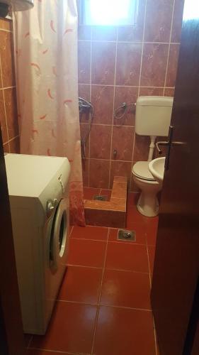 a small bathroom with a toilet and a sink at Farm house Godinje in Godinje