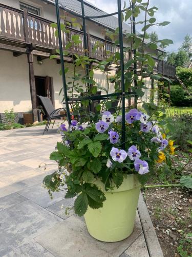 a green planter with purple flowers in it at Sarnia Polana in Kostrzyca
