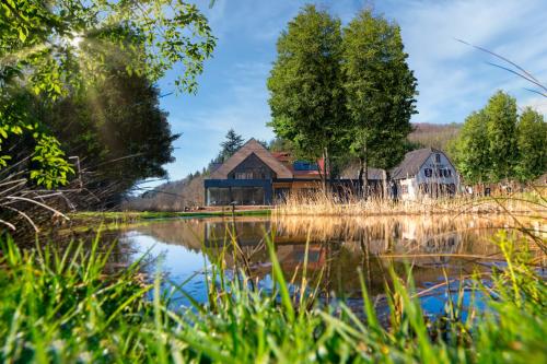 eine Scheune und ein Haus neben einem See in der Unterkunft Landhotel Weihermühle in Thaleischweiler-Fröschen