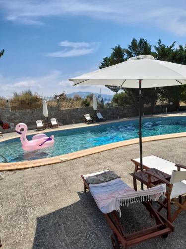 a pool with an umbrella and a swan float at Armonia Hotel by Zante Plaza in Laganas