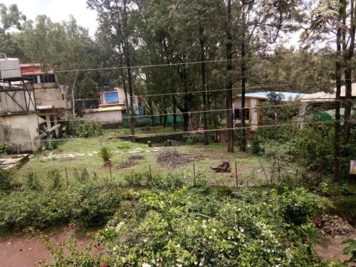 a garden with a fence and some bushes and trees at Shri Laxmi Narayan Bungalow in Mahabaleshwar