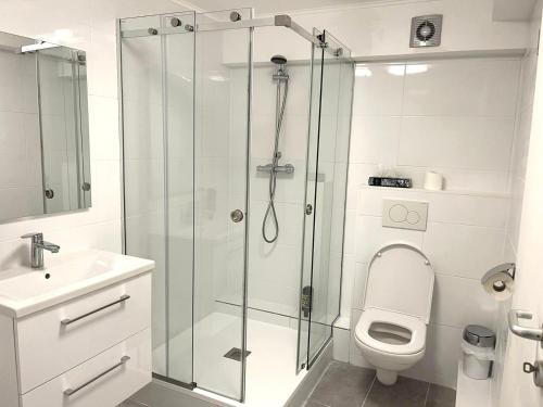 ein Bad mit einer Dusche, einem WC und einem Waschbecken in der Unterkunft The Burgklause Boutique Hotel in Linz am Rhein