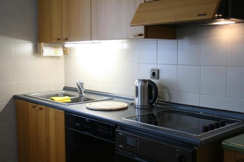 eine Küche mit einer Spüle und einer Arbeitsplatte in der Unterkunft le stanze di Saraswati in Salurn