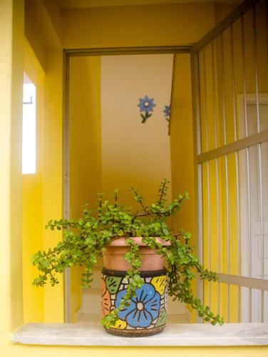 a plant in a pot sitting on a window sill at Pousada Pau Brasil in Ilha de Comandatuba
