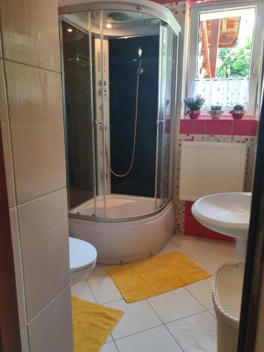 a bathroom with a shower and a toilet and a sink at Przytulny apartament-cosy and beautiful in Żywiec