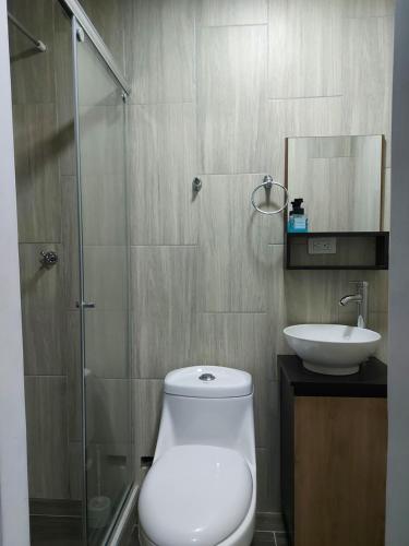 un baño con inodoro y lavabo en Apartaestudio6 sector Cable Estadio, en Manizales