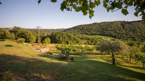 a field with trees and a mountain in the background at apartma Belveder in Izola