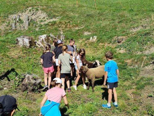 a group of children looking at a sheep on a hill at Appartment Sattlerhof in Mutters