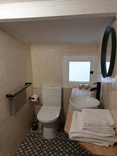 een badkamer met een wit toilet en een wastafel bij BUHARDILLA LOFT MUY CÉNTRICA, a 50 m de MARIA PITA y del puerto in A Coruña