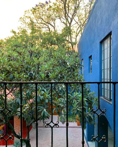 a blue building with a fence next to a tree at La Betulia Bed and Breakfast in Oaxaca City