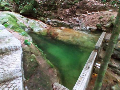 a pool of green water next to a river at Hotel Rio in La Ceiba