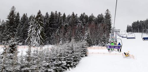 Apartmán JaFi Lipno nad Vltavou v zimě