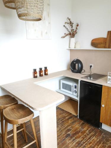 une cuisine avec un comptoir avec un évier et un micro-ondes dans l'établissement Appartement une chambre, à Rennes