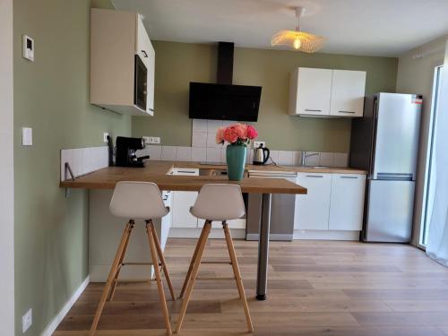 Il comprend une cuisine équipée d'une table avec deux chaises et d'un réfrigérateur. dans l'établissement Gite le Maoza, à Saint-Rémy-la-Varenne