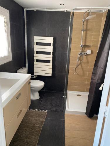 een badkamer met een douche, een toilet en een wastafel bij Maisonnette Cagnes in Cagnes-sur-Mer