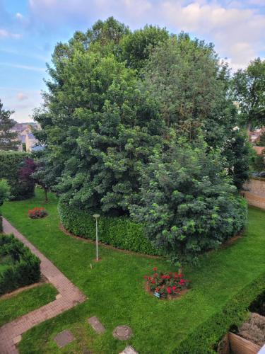a tree in the middle of a yard with flowers at Studio bien équipé, situé en hyper centre in Vendôme
