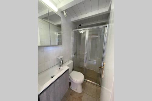 een badkamer met een toilet en een glazen douche bij PANOS ROOMS Beachfront apartment with Loft in Ándros
