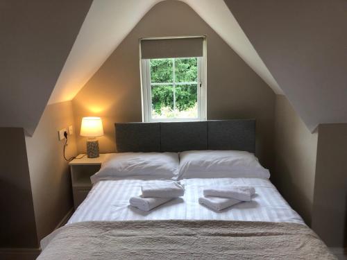ein Schlafzimmer mit einem Bett mit zwei Kissen und einem Fenster in der Unterkunft Lakeside Cottage in Killaloe