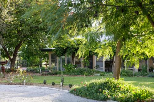 a house with a tree in front of a yard at Ivanhoe Park Homestead in Tamworth