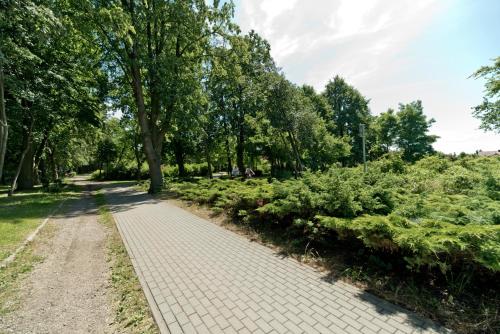 Příroda nedaleko apartmánu