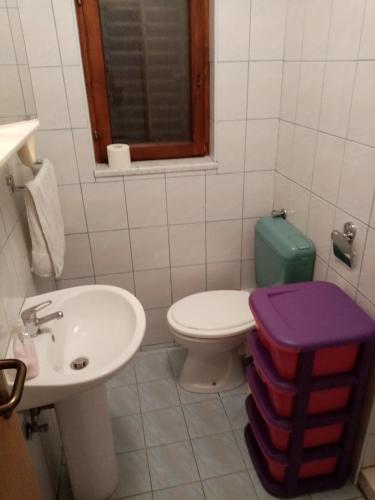 biała łazienka z toaletą i umywalką w obiekcie apartman Mirko w Puli