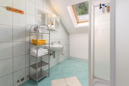 a bathroom with a sink and a shower at Apartmaji Trstenjak in Rateče