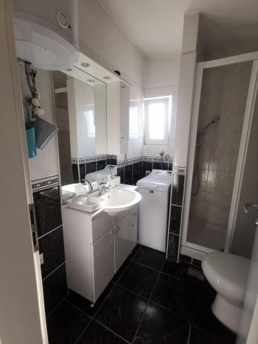 a bathroom with two sinks and a shower and a toilet at Apartments Luca in Zaboric