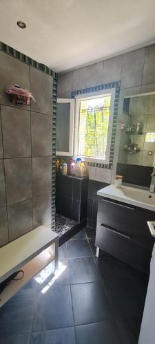 une salle de bain avec une douche, un lavabo et une baignoire dans l'établissement Chambre dans villa Montpellier à 15mn des plages, à Montpellier