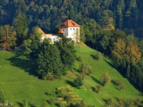 a house on top of a green hill with trees at Penzion Park in Laško