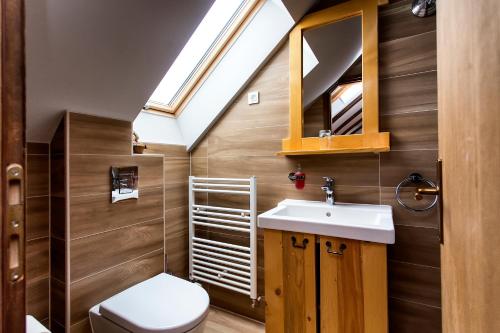 Zlatar BistricaにあるZagorske hiže Purgaのバスルーム(トイレ、シンク、天窓付)