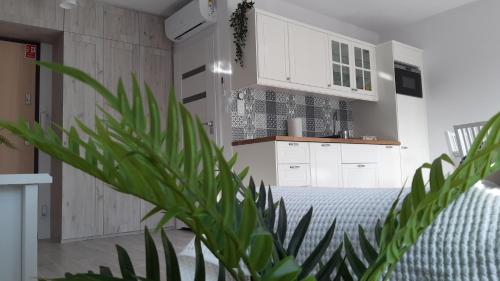 Zdjęcie z galerii obiektu Apartament Biała Foczka w Stegnie