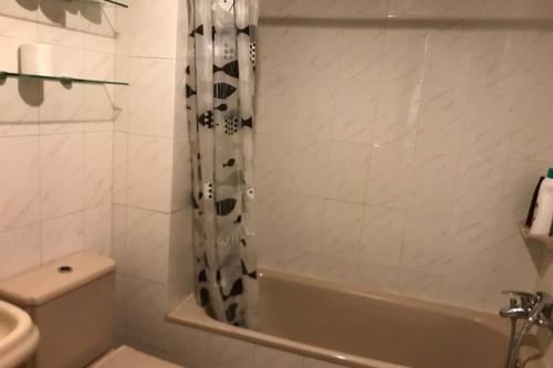 La salle de bains est pourvue d'une baignoire, de toilettes et d'une douche. dans l'établissement Apartamento en pleno centro CATEDRAL 1D, à Oviedo