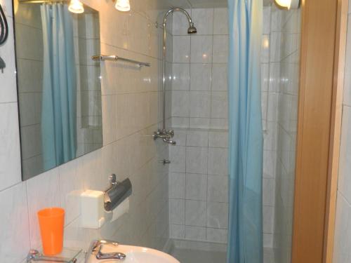 ein Bad mit einer Dusche, einem Waschbecken und einem Spiegel in der Unterkunft Peter rooms in Ljubljana
