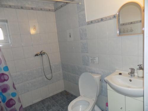 a bathroom with a toilet and a sink at Ubytování Apartmány Ferenčíková in Nové Hrady