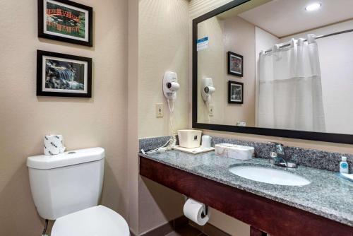 Comfort Inn Birmingham - Irondale tesisinde bir banyo