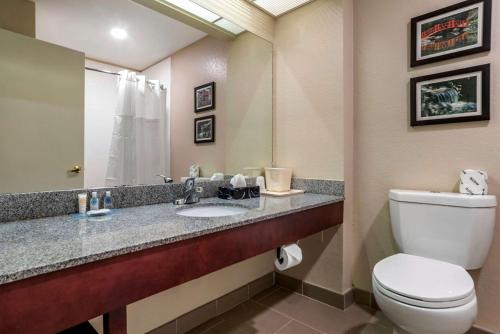 Bilik mandi di Comfort Inn Birmingham - Irondale