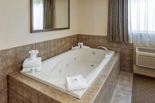 Bathroom sa Comfort Inn & Suites Thousand Islands Harbour District
