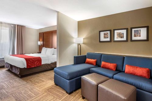 Gallery image of Comfort Suites Urbana Champaign, University Area in Champaign