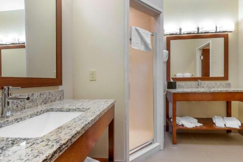 y baño con 2 lavabos y ducha. en Comfort Inn & Suites Lenoir Hwy 321 Northern Foothills, en Lenoir