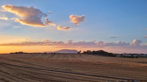 a view of a field with a cloudy sky at ilmareinmezzo in Porto Recanati